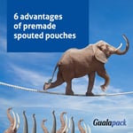 6 advantages of premade spouted pouches for your business 