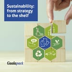 Sustainability: from strong strategy to best product on the shelf 