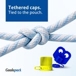 Tethered cap for spouted pouches: regulatory context and implementation 