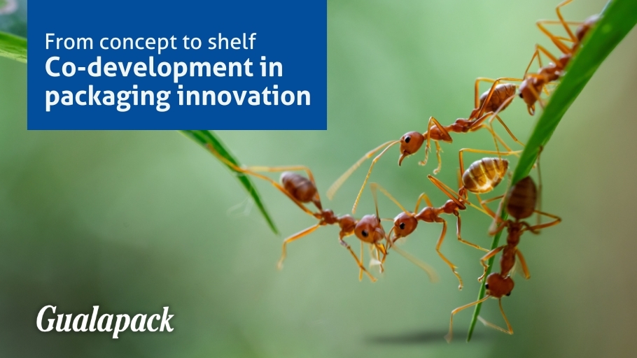 Co-development_blogpost (1)